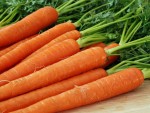 Почему у моркови зелёная макушка?